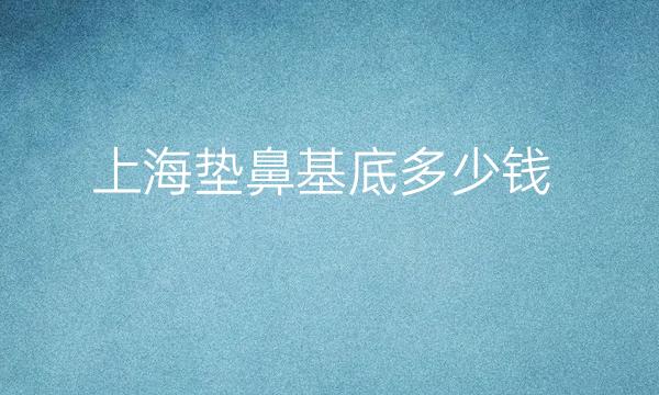 上海垫鼻基底整形医院哪家好?医院都在榜上!