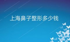 上海鼻子整形医院哪家好?医院排名前10介绍