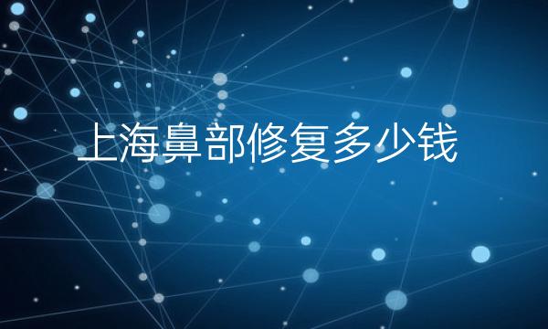 上海鼻部修复整形医院哪家好?医院排名揭晓