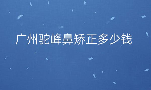 广州驼峰鼻矫正整形医院哪家好?美莱上榜!