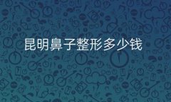 昆明鼻子整形医院哪家好?铜雀台、韩辰比较名单