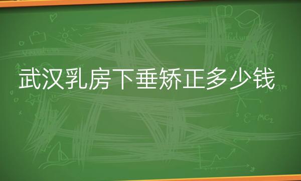 武汉乳房下垂矫正整形医院哪家好?武汉美莱入榜!