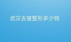 武汉去皱整形医院哪家好?(美莱_壹加壹上榜)