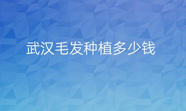 武汉毛发种植整形医院哪家好?医院排名前10名单一览