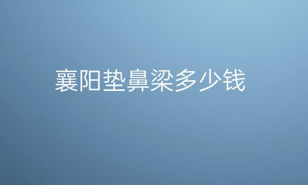 襄阳垫鼻梁哪家医院比较好?价格了解