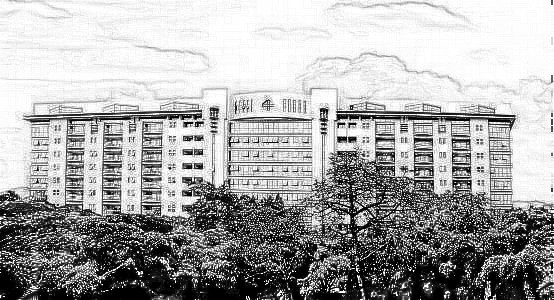 广州第(一)人民医院整形外科