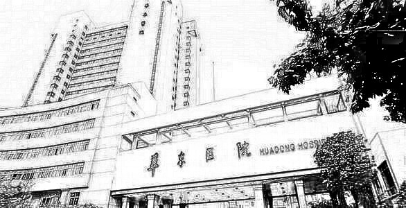 复旦大学附属华东医院（上海华东）整形美容科