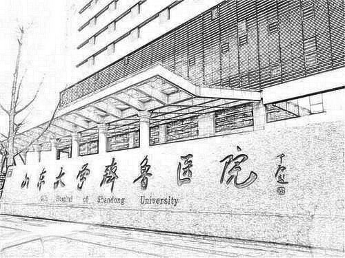 山东大学齐鲁医院整形外科