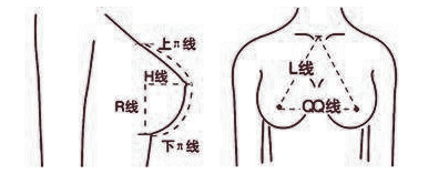 还在盲目的追寻大乳房吗？适合自己的才较美！