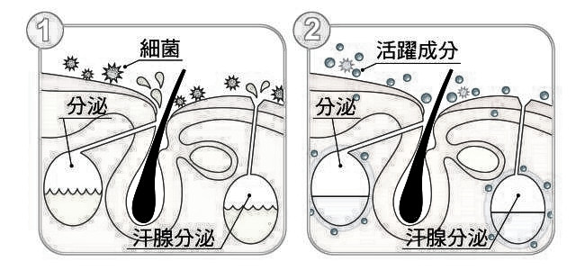 腋臭防不胜防，元凶竟然是你的细菌