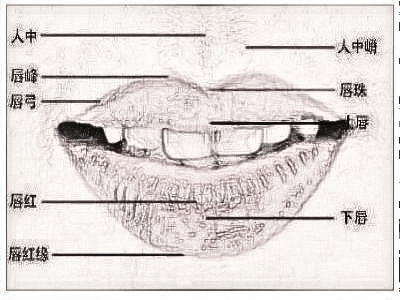 唇部整形是什么