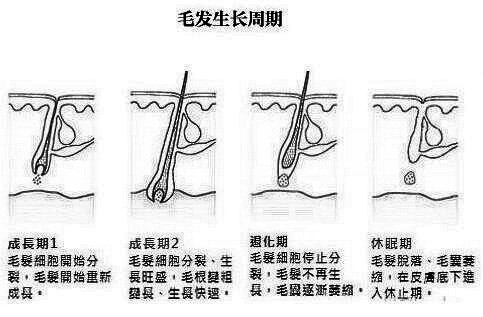 激光冰点脱毛探店，闺蜜全程哈哈大笑，而我……