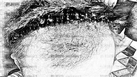 重庆新生植发医院哪个医生技术好？附重庆新生植发医院