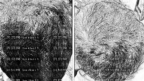 成都植发医院哪家医院技术好？成都植发医生排名名单&介绍分享