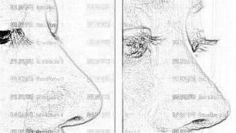 衡阳隆鼻哪家医院好？揭秘衡阳隆鼻医生排名前五榜单|附介绍