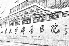 山东大学齐鲁医院