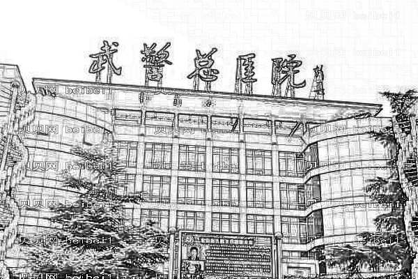 山东省武警总队医院