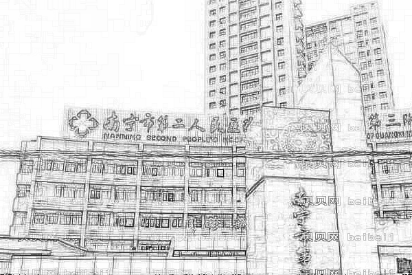 南宁市第二人民医院