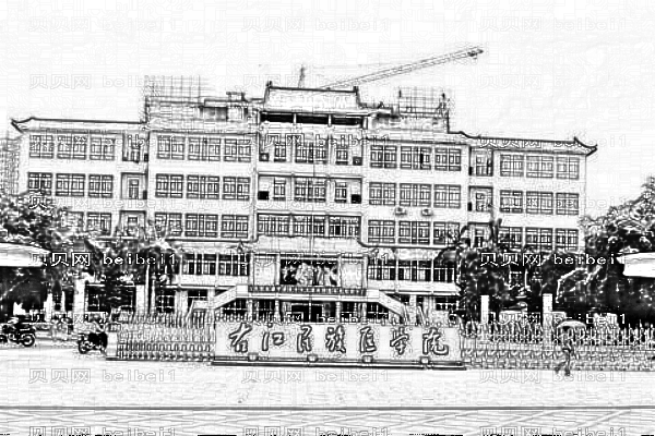 右江民族医学院附属医院