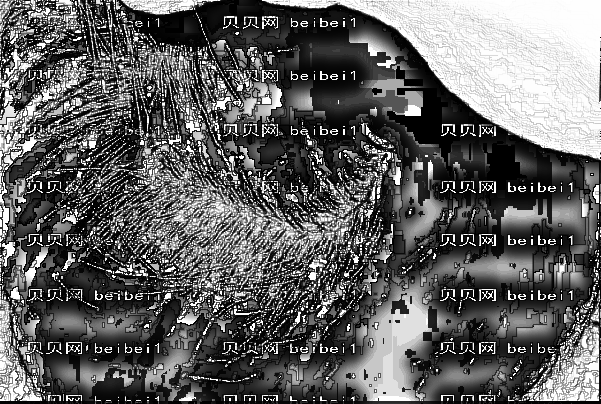 深圳北大医院植发价格多少_哪位医生技术好