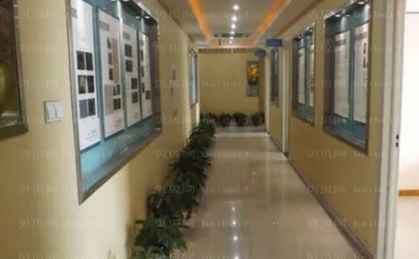 成都碧莲盛植发怎么样?那位医生好?口碑技术一览