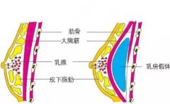 衡阳假体隆胸医院前十名单哪家强