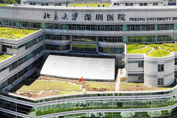 广东脂肪整形口碑实力医院名单