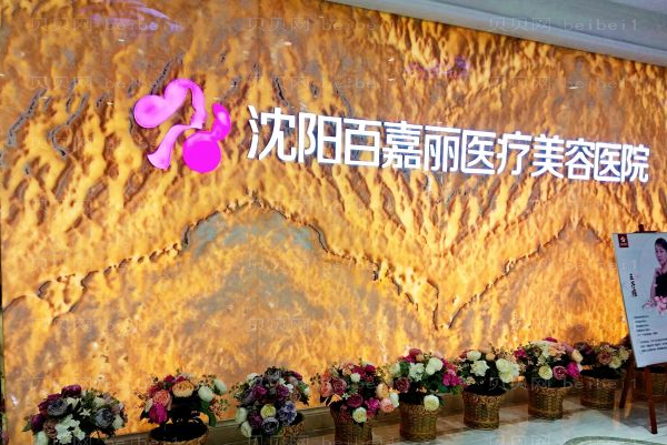 沈阳和平百嘉丽激光去黑眼圈怎么样？