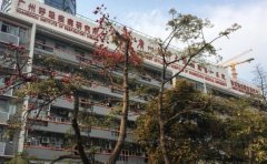 广州医科大学附属第—医院整形科怎么样