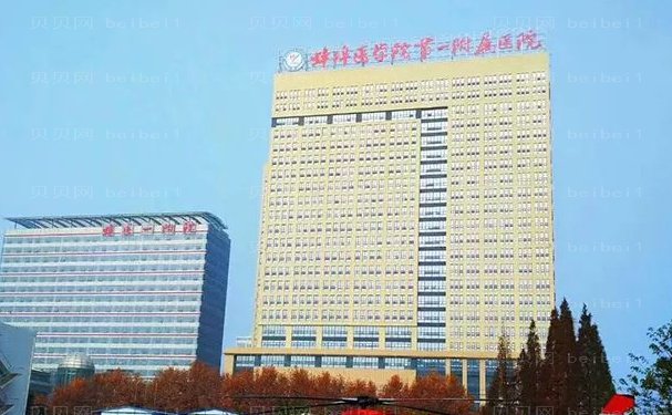 蚌埠医学院第一附属医院烧伤整形外科口碑怎么样